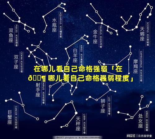 在哪儿看自己命格强弱「在 🐶 哪儿看自己命格强弱程度」